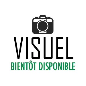vb